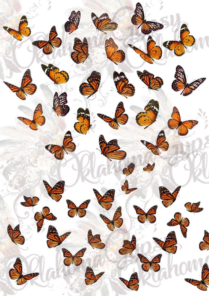 Monarch Butterflies Digital File