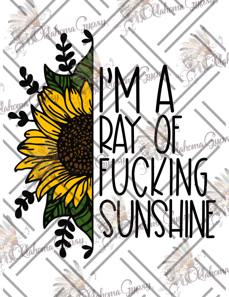 I'm A Ray of Fucking Sunshine Digital File