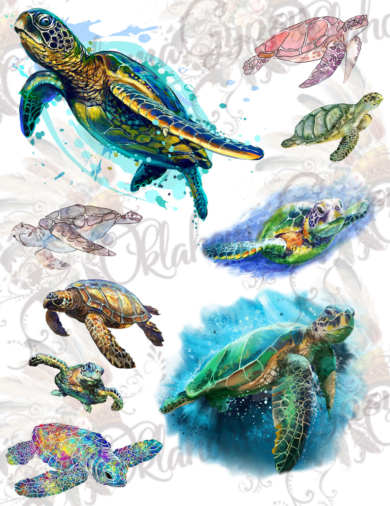 Sea Turtles Digital File