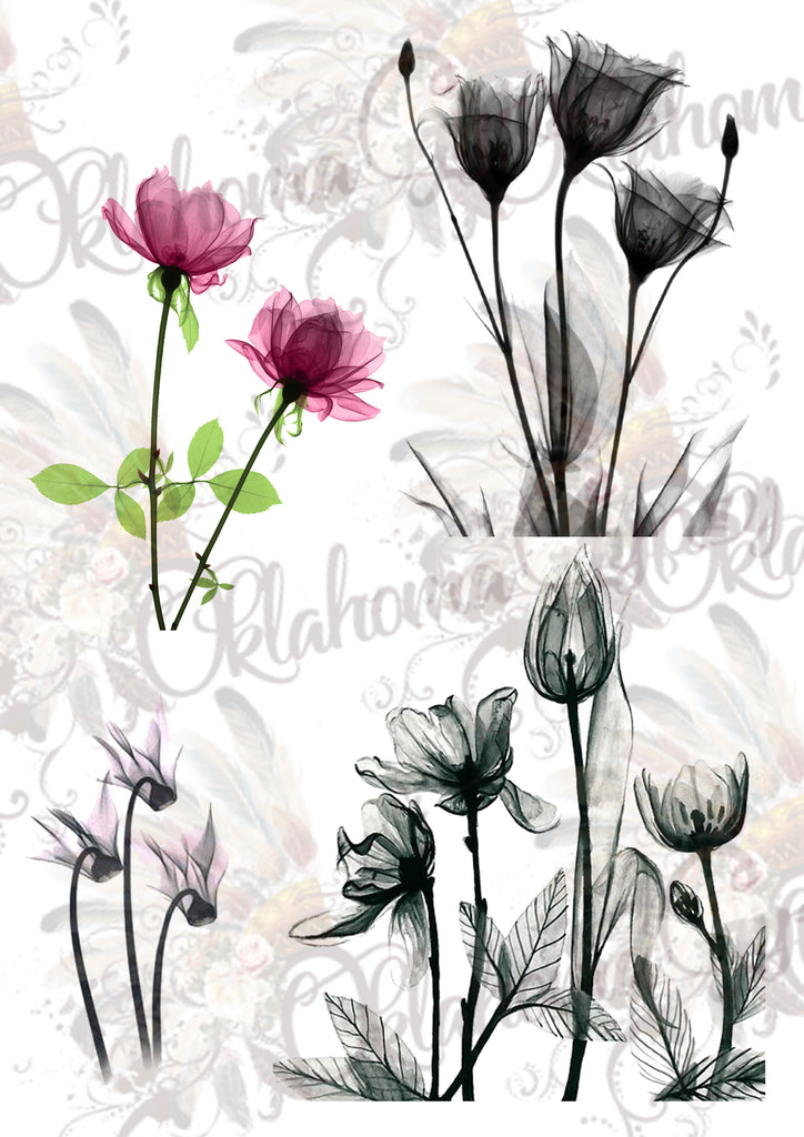X Ray Floral Digital File